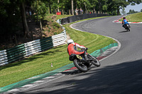 Vintage-motorcycle-club;eventdigitalimages;mallory-park;mallory-park-trackday-photographs;no-limits-trackdays;peter-wileman-photography;trackday-digital-images;trackday-photos;vmcc-festival-1000-bikes-photographs